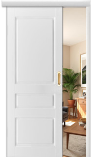 Раздвижная дверь "Честер", пг, белый