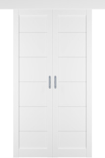 Раздвижная двустворчатая дверь "E32", пг, Emalex Ice