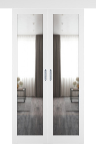 Раздвижная двустворчатая дверь "E32", по, Emalex Ice Reflex
